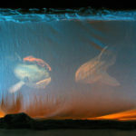 Azzurra Balena al Teatro Nuovo di Pisa